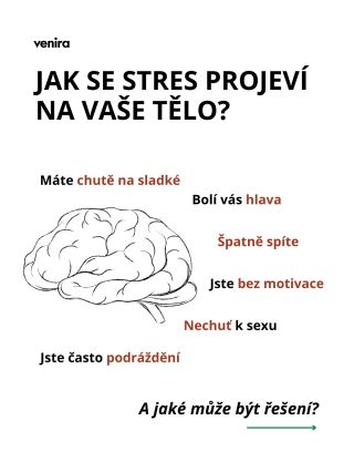 Nový rok, novoroční předsevzetí, dohánění restů... tohle všechno nám může přivodit stres. 😓 Ale jak se vlastně stres může...